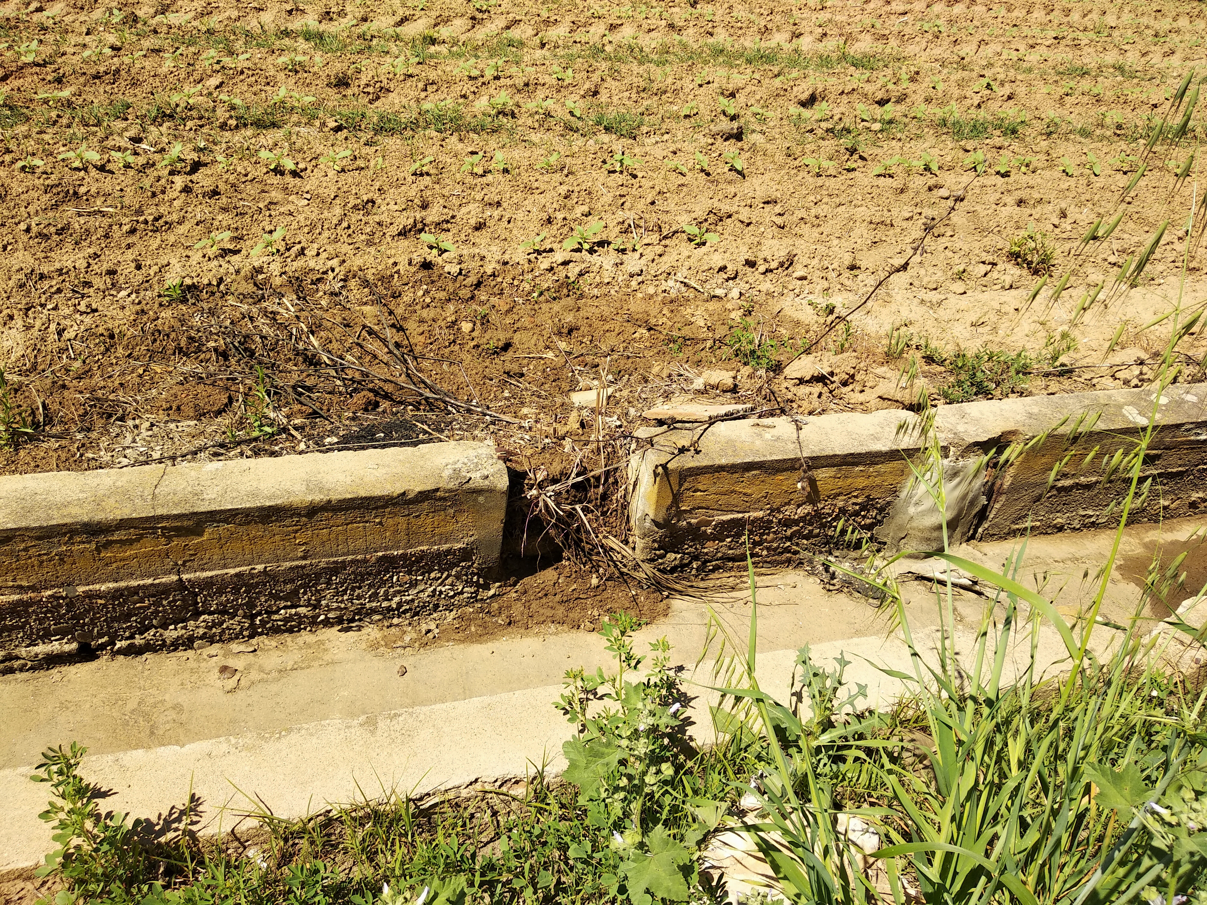 Acequia en mal estado en Valdivia (Badajoz)