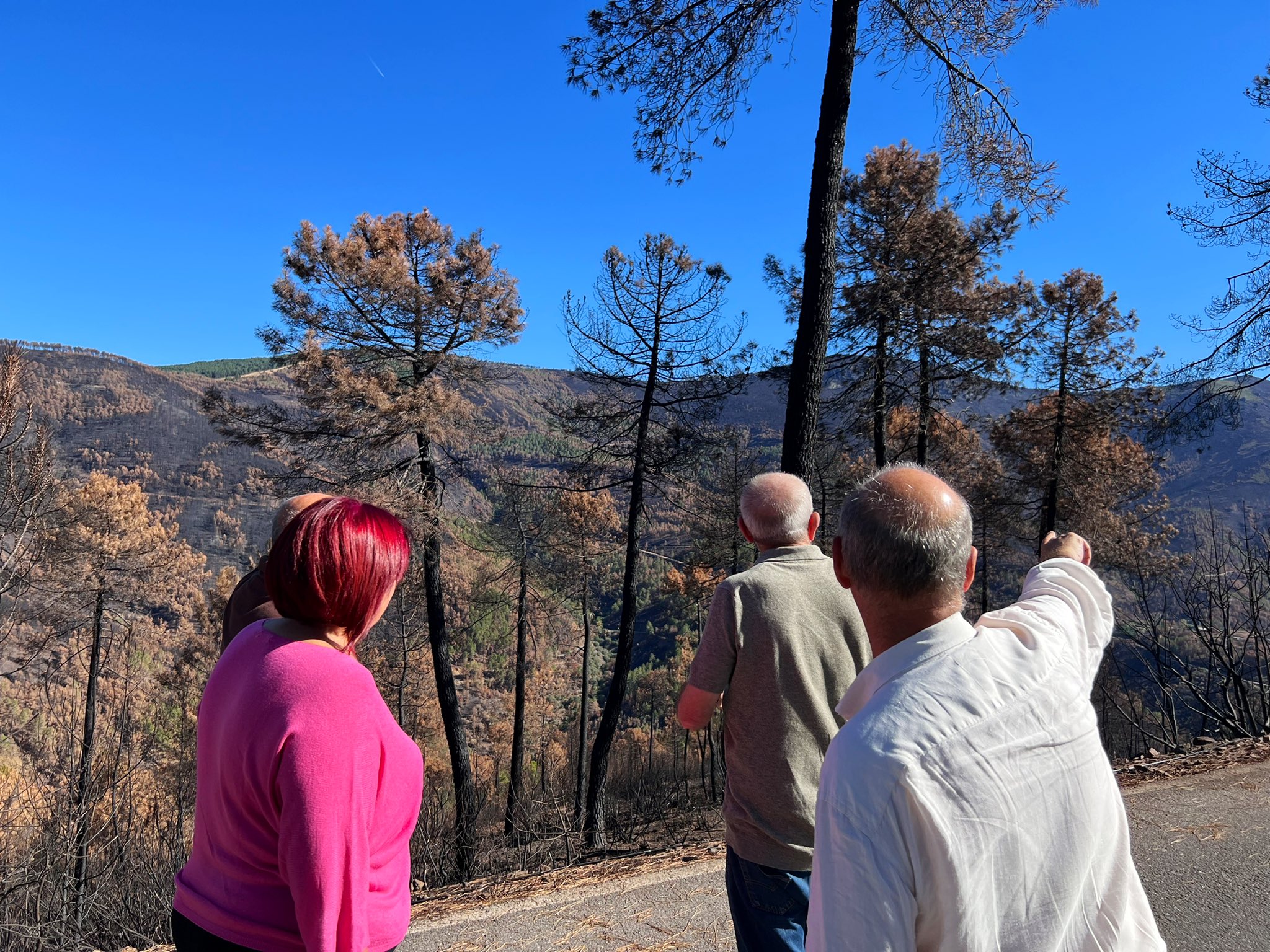 La Consejera de Agricultura, Begoña García Bernal, visita la zona afectada por el incendio de Las Hurdes