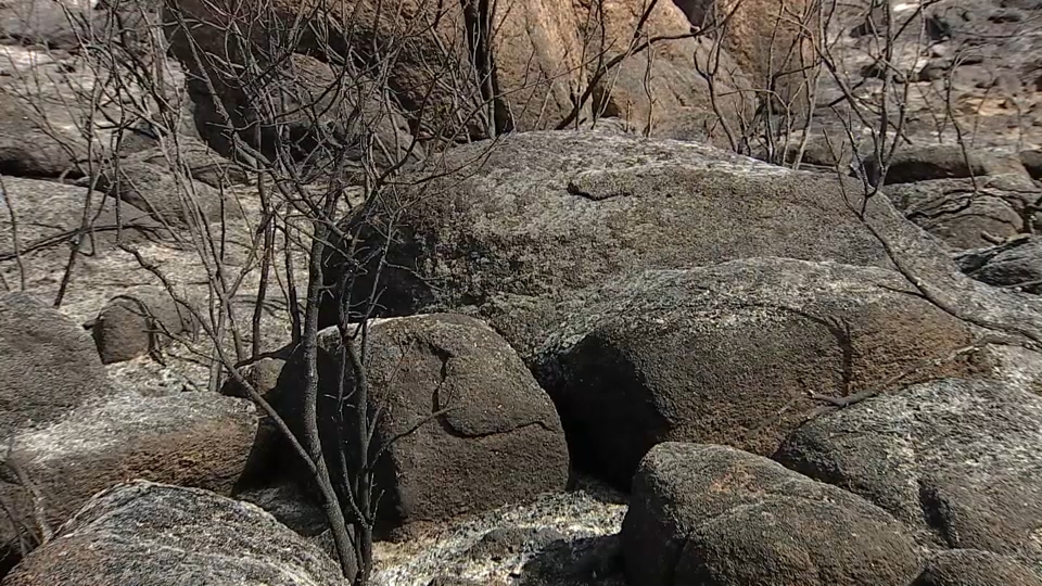 Interior adelanta al próximo 1 de junio el inicio de la campaña estatal estival contra los incendios forestales