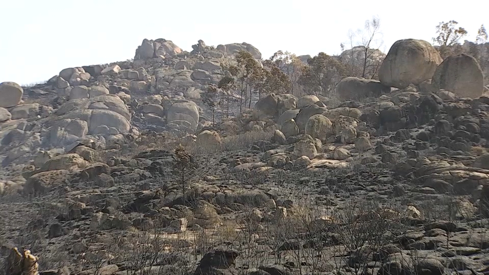 Interior adelanta al próximo 1 de junio el inicio de la campaña estatal estival contra los incendios forestales