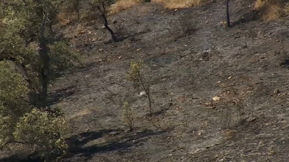 Interior adelanta al próximo 1 de junio el inicio de la campaña estatal estival contra los incendios forestales