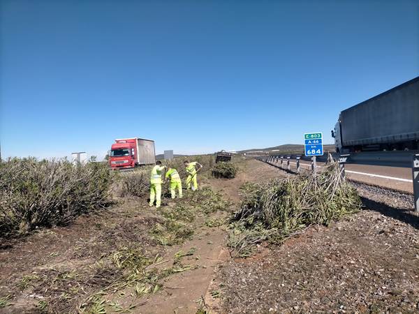MINISTERIO DE TRANSPORTES