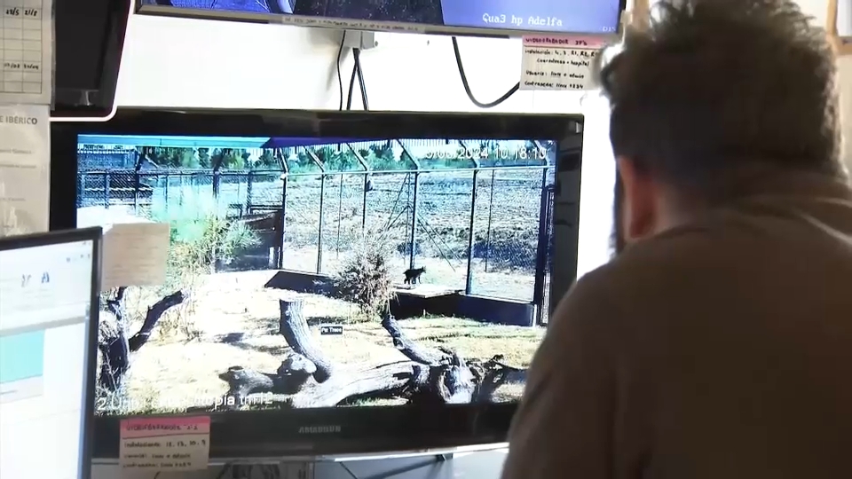 Centro de cría en cautividad del lince ibérico en Zarza de Granadilla