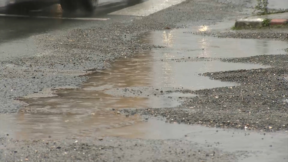 Avenida Martín Palomino en Plasencia