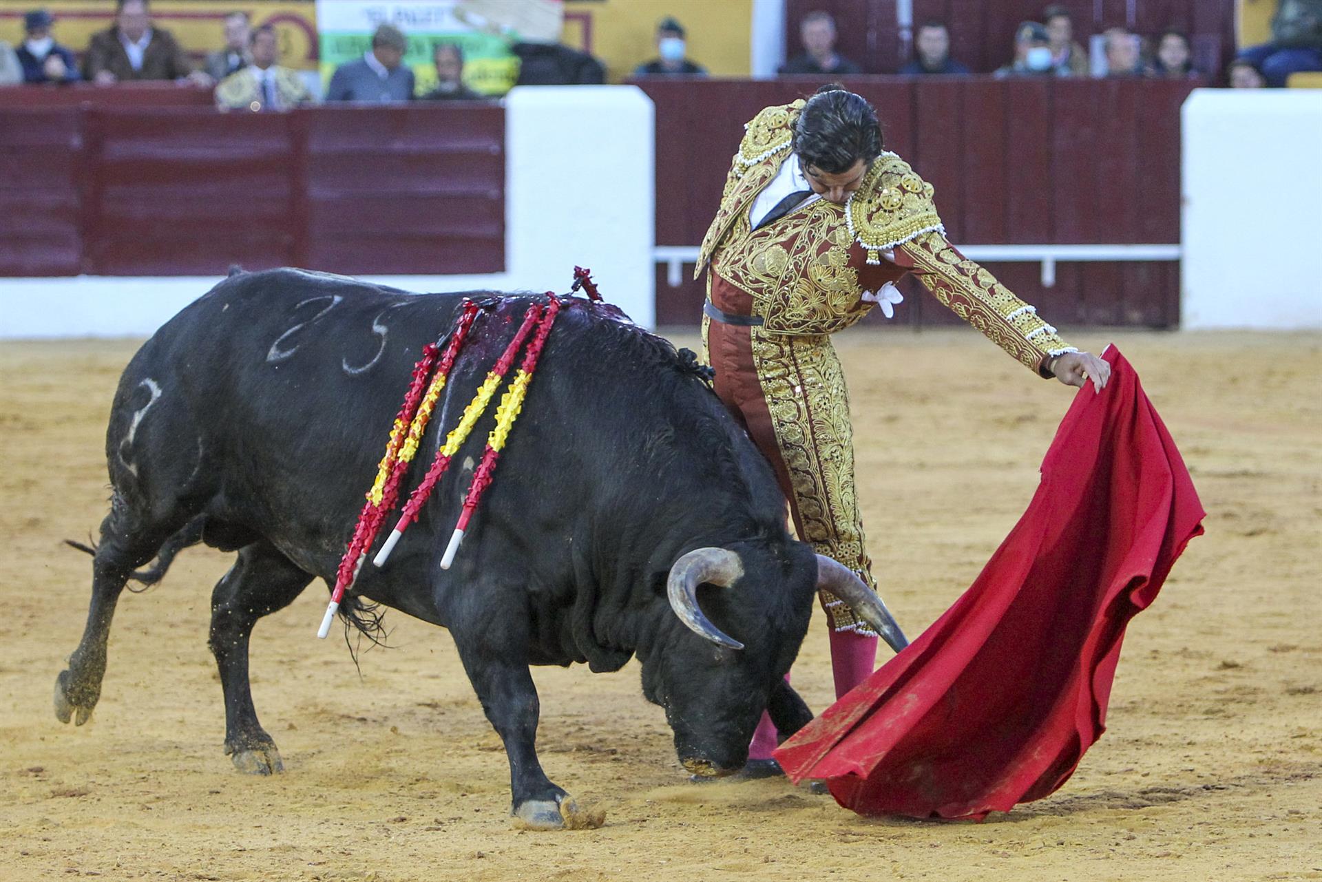 Morante de la Puebla en la lidia de su segundo toro de la ganadería de Zaluendo, este sábado en la Feria de Olivenza, que celebra su 31 edición tras el parón de los dos años anteriores por la pandemia