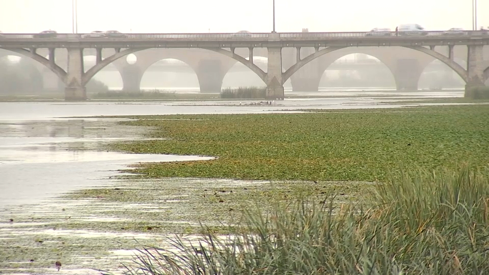 El inicio de las obras para erradicar el nenúfar del Guadiana se mantiene en otoño con un importe de 6,5 millones