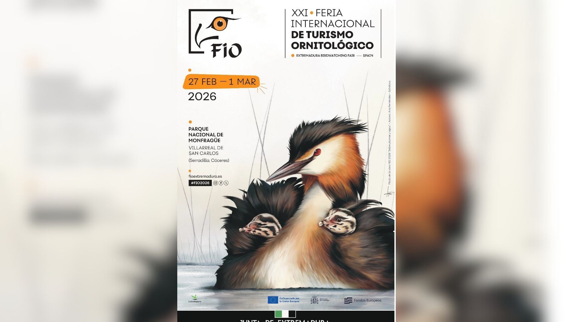 Autora: Ana Fernández