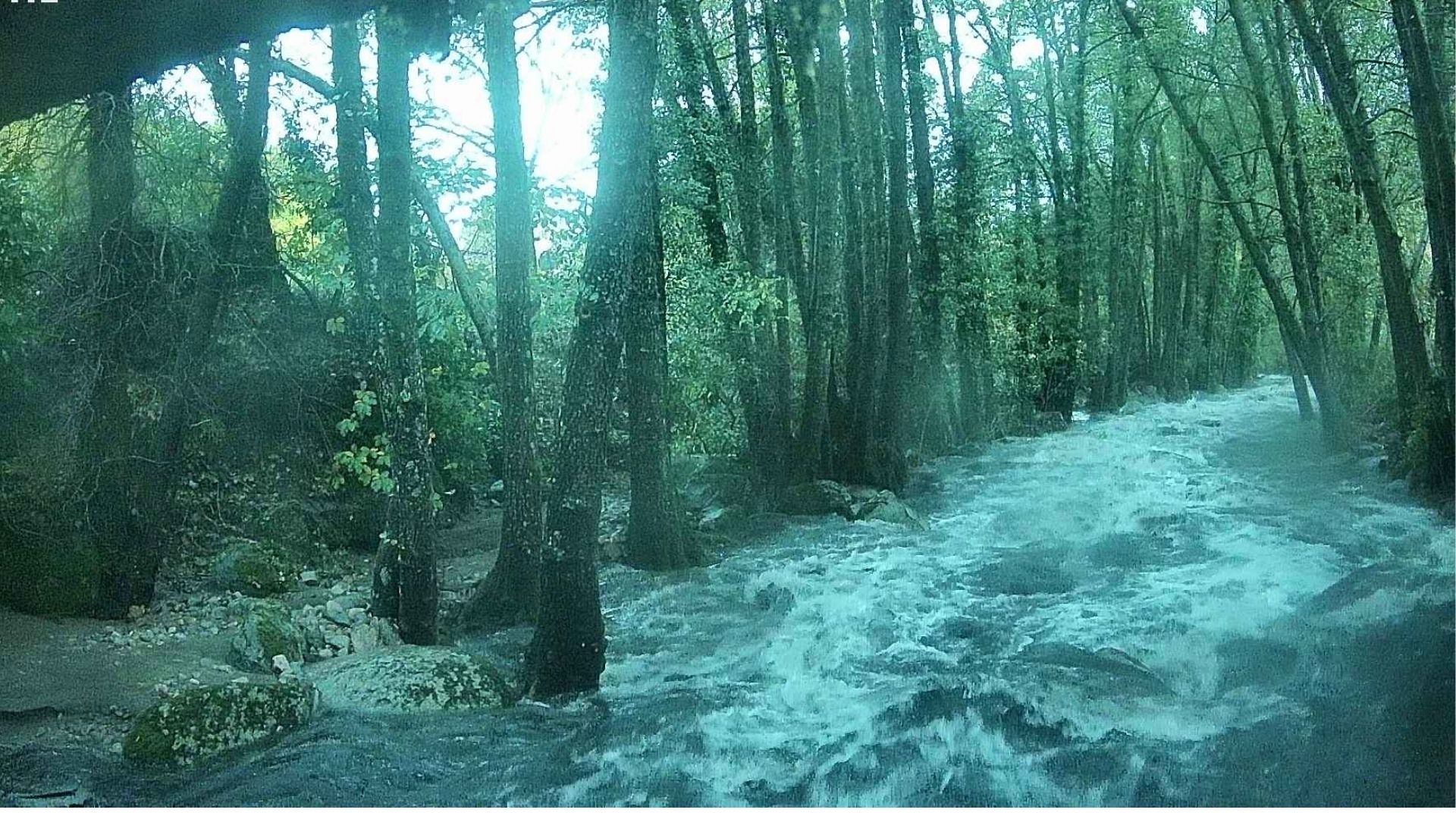 RÍO AMBROZ A SU PASO POR HERVÁS. RED SPIDA
