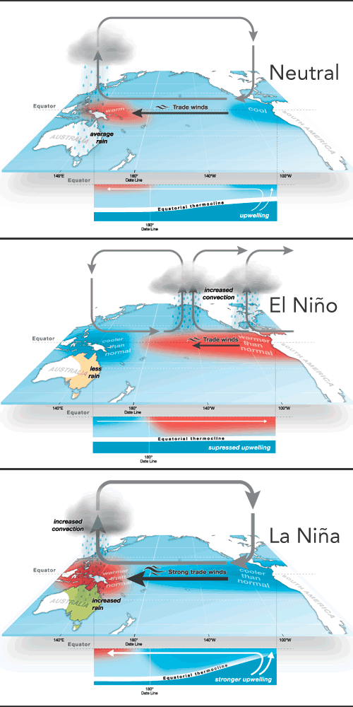 Niño/NIña/Neutro