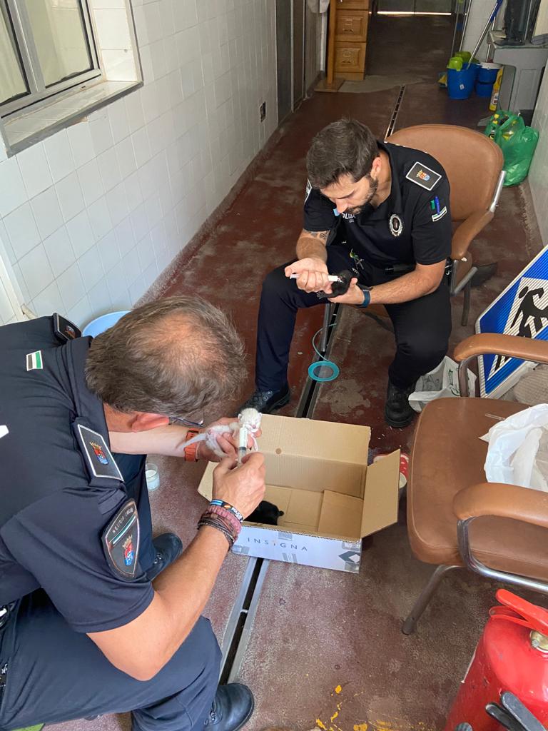 Agentes de la Policía Local de Los Santos de Maimona alimentando a los gatos