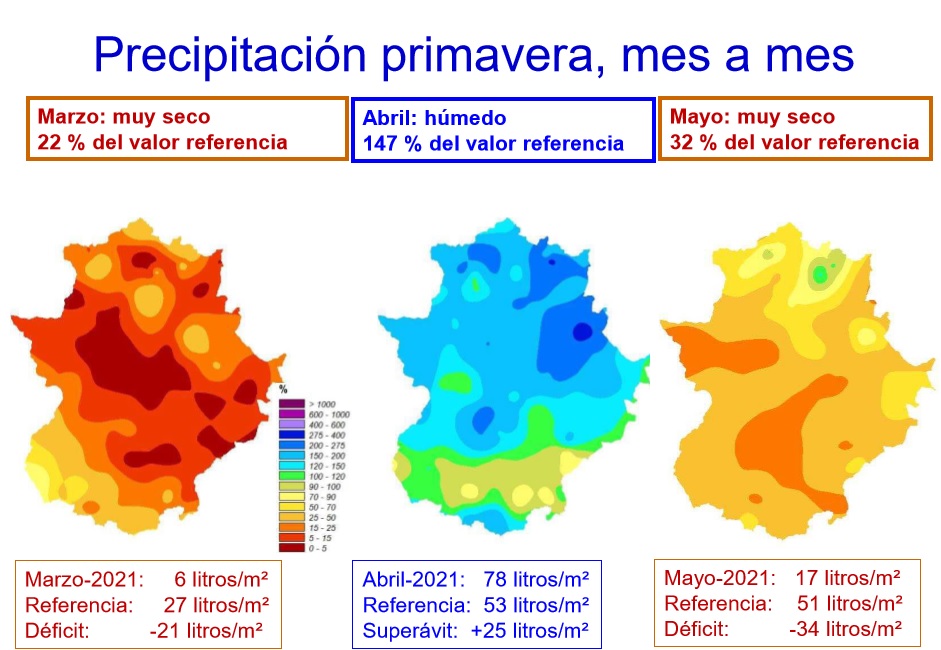 Precipitación de la primavera 2020