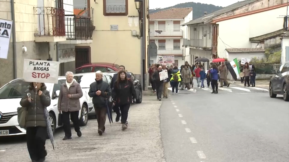 Las carreras de caballos de Navas del Madroño desatan la emoción