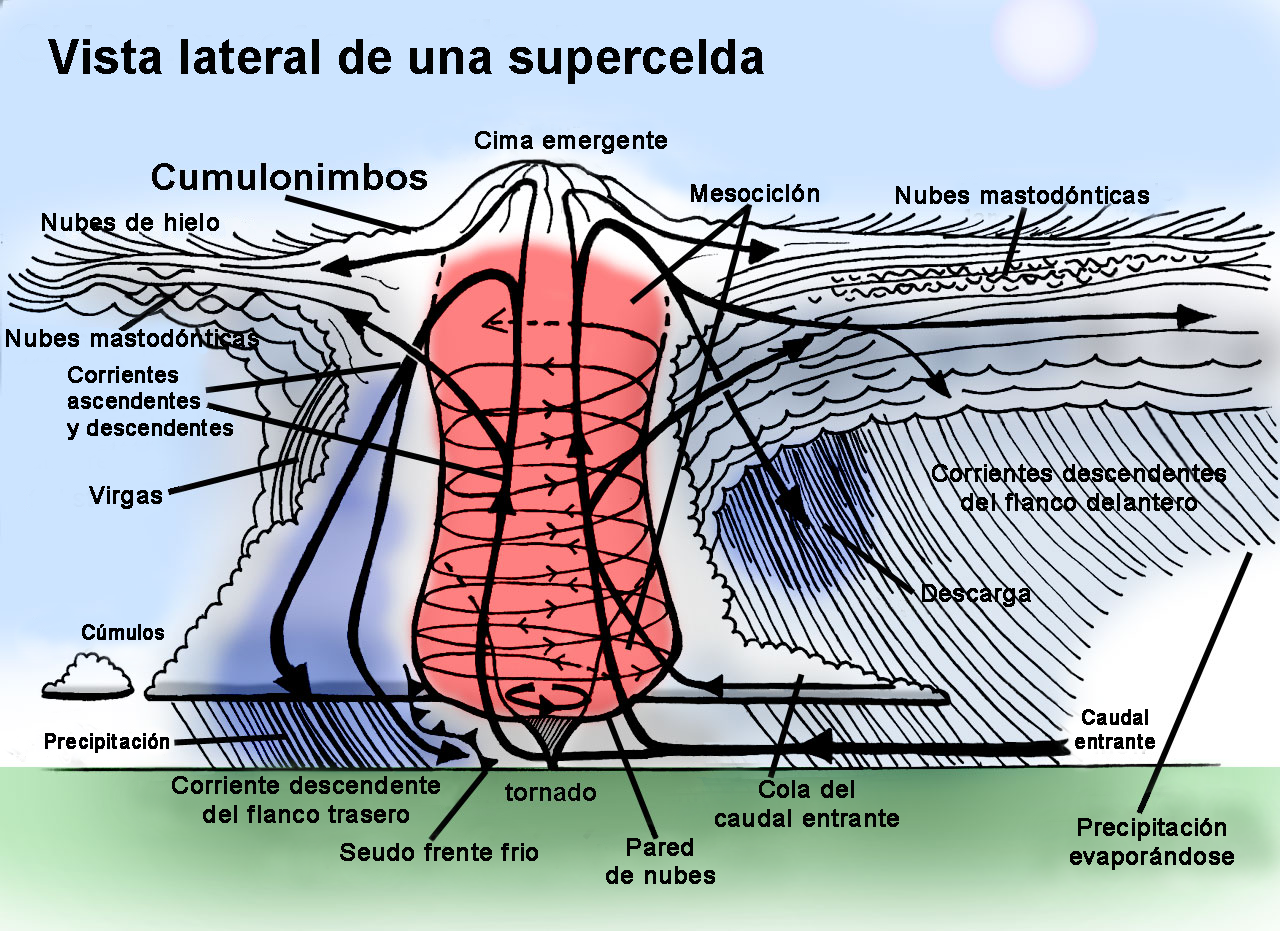 previ