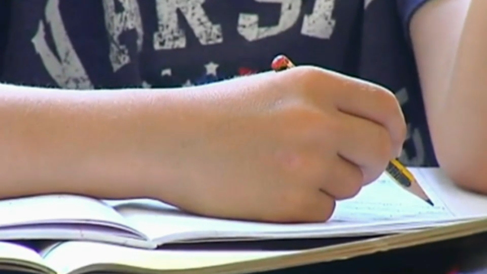 Así es el perfil de los acosadores escolares. Los expertos piden más recursos para evitar este tipo de conductas