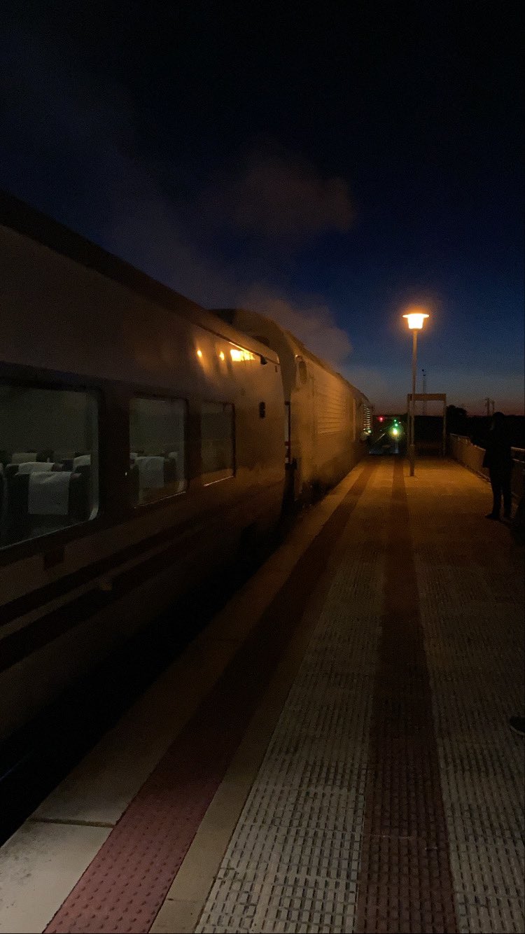 Foto realizada por una pasajera del tren. Fuente: Twitter