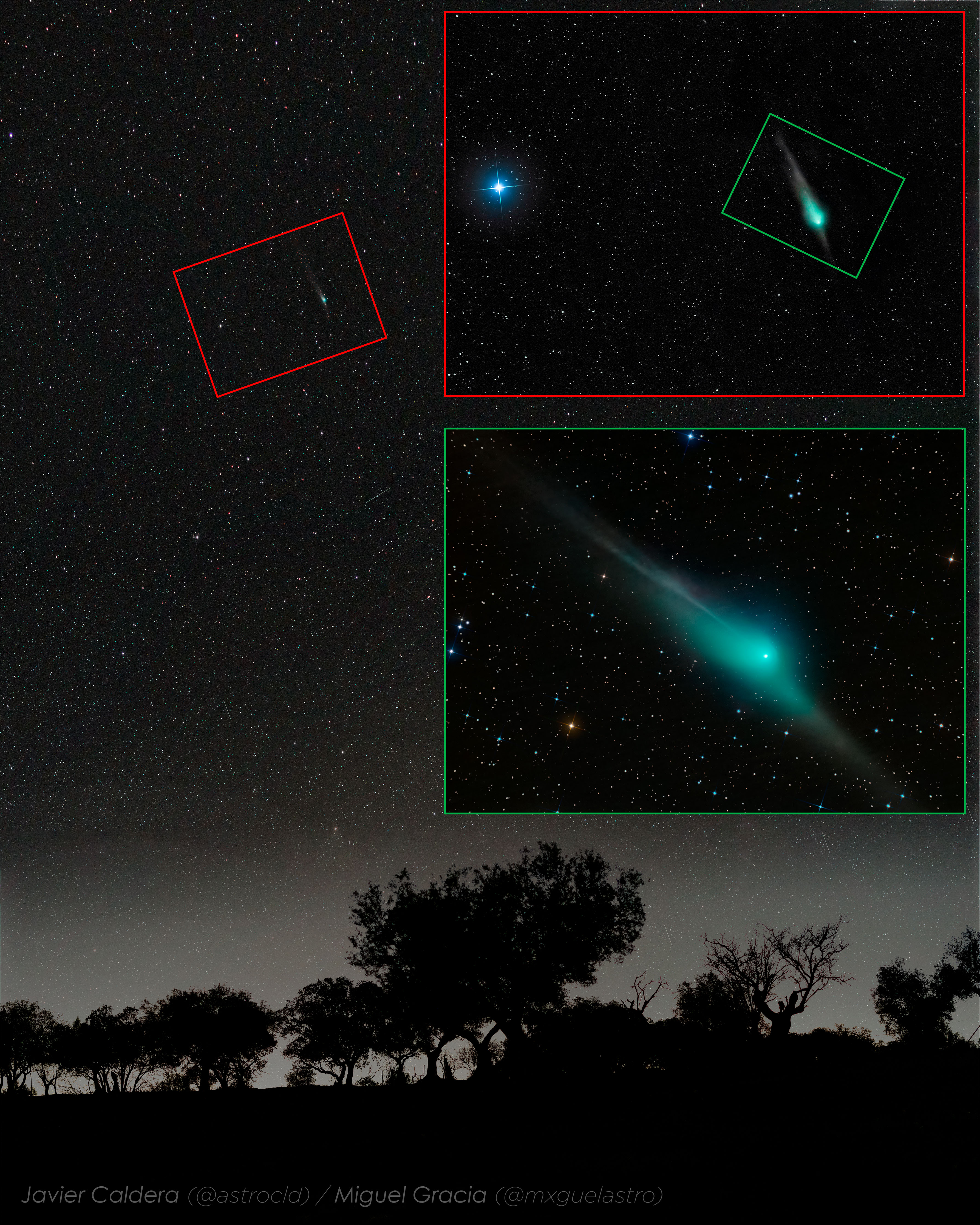 cometa ztf