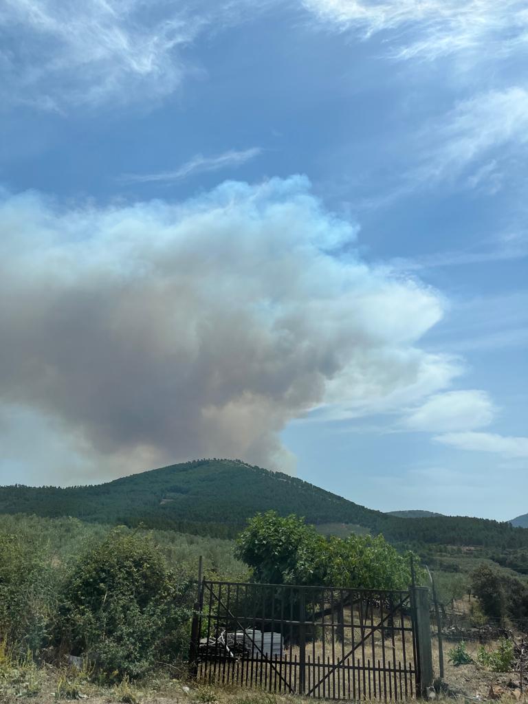 incendio santa cruz