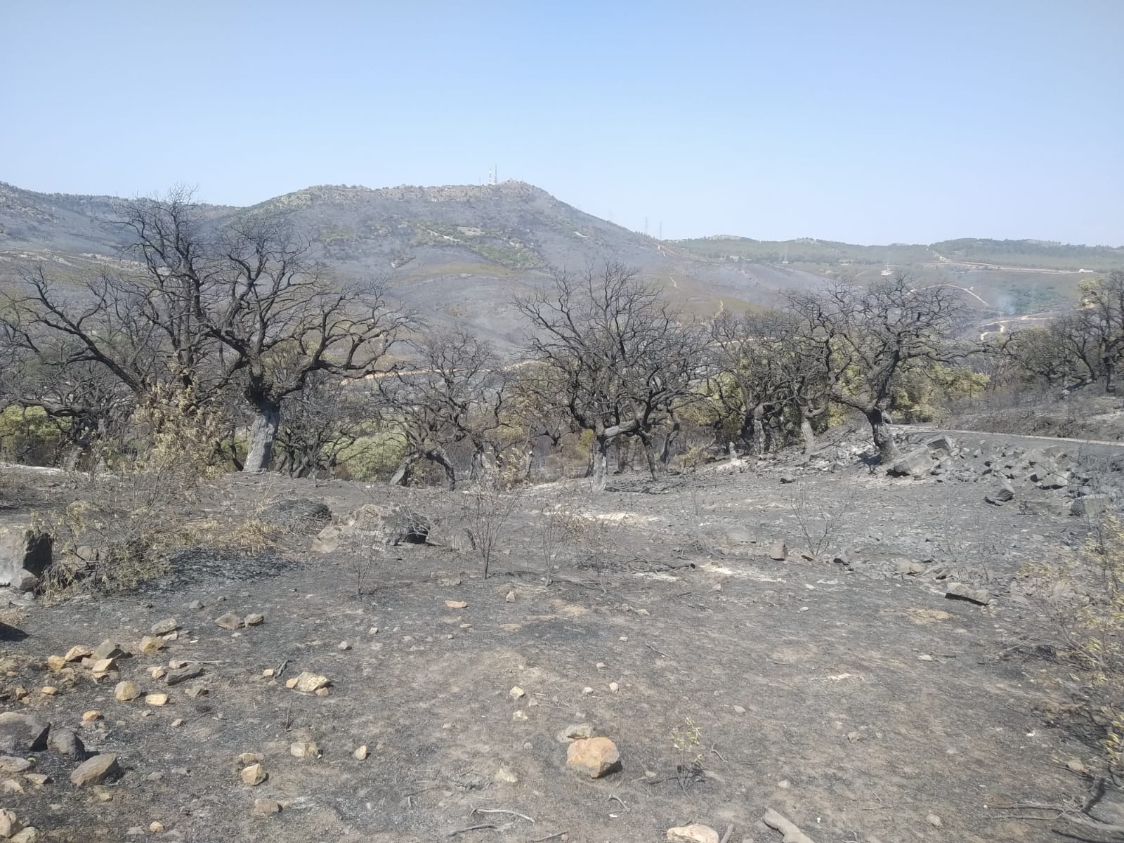 huella fuego casas de miravete