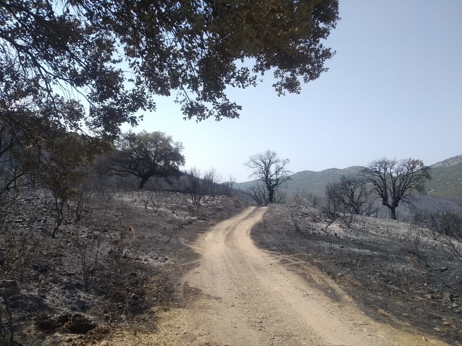 huella fuego casas de miravete