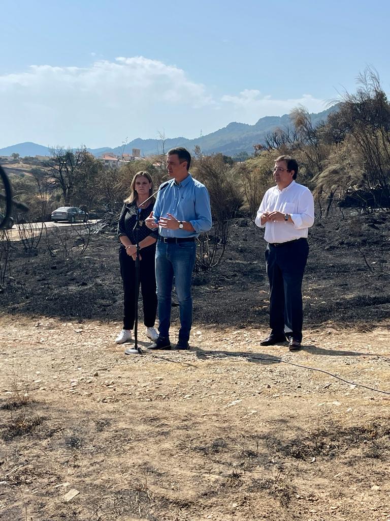 Pedro Sánchez