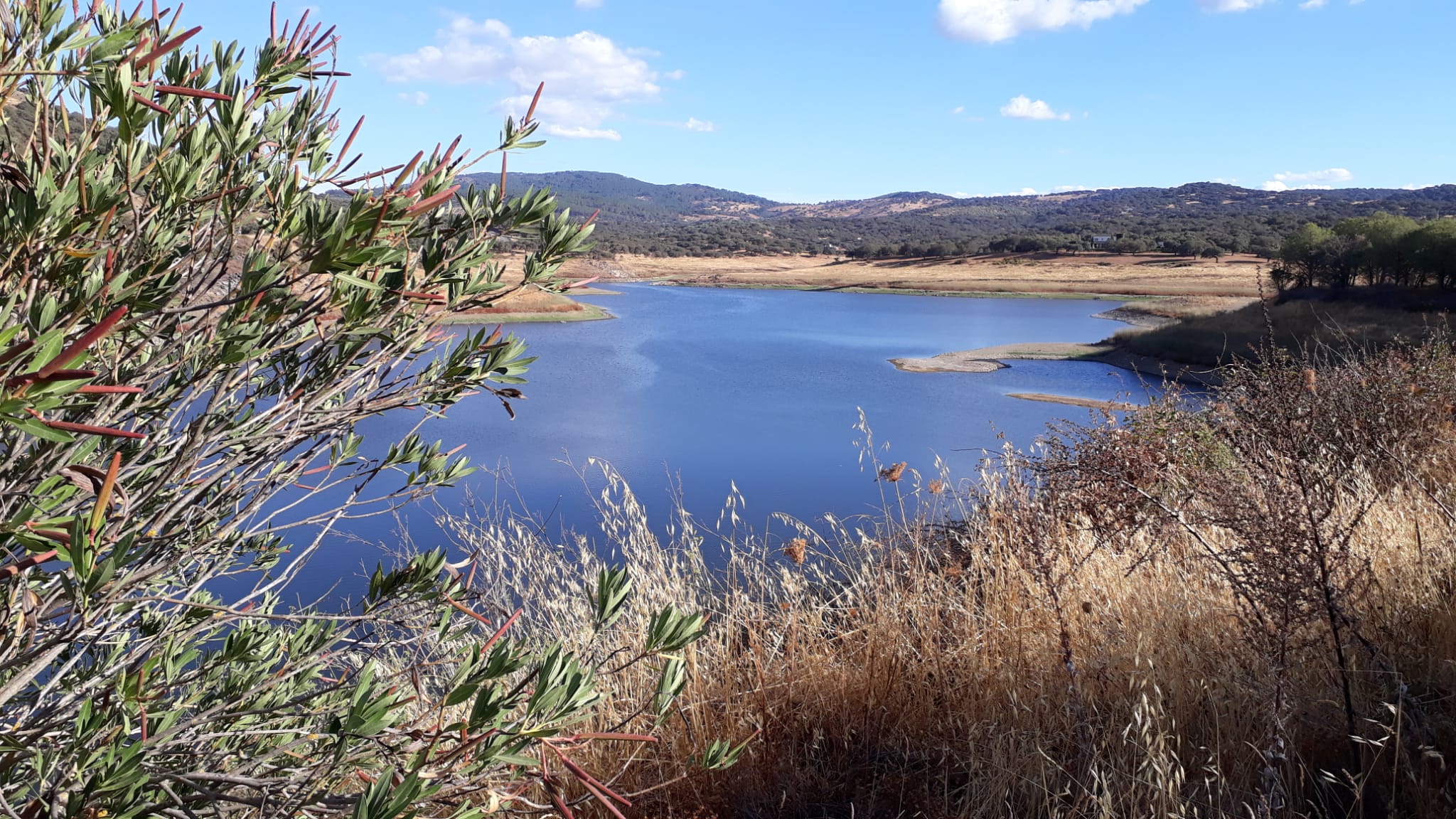 Situación del embalse de Tentudía, al 15% de su capacidad