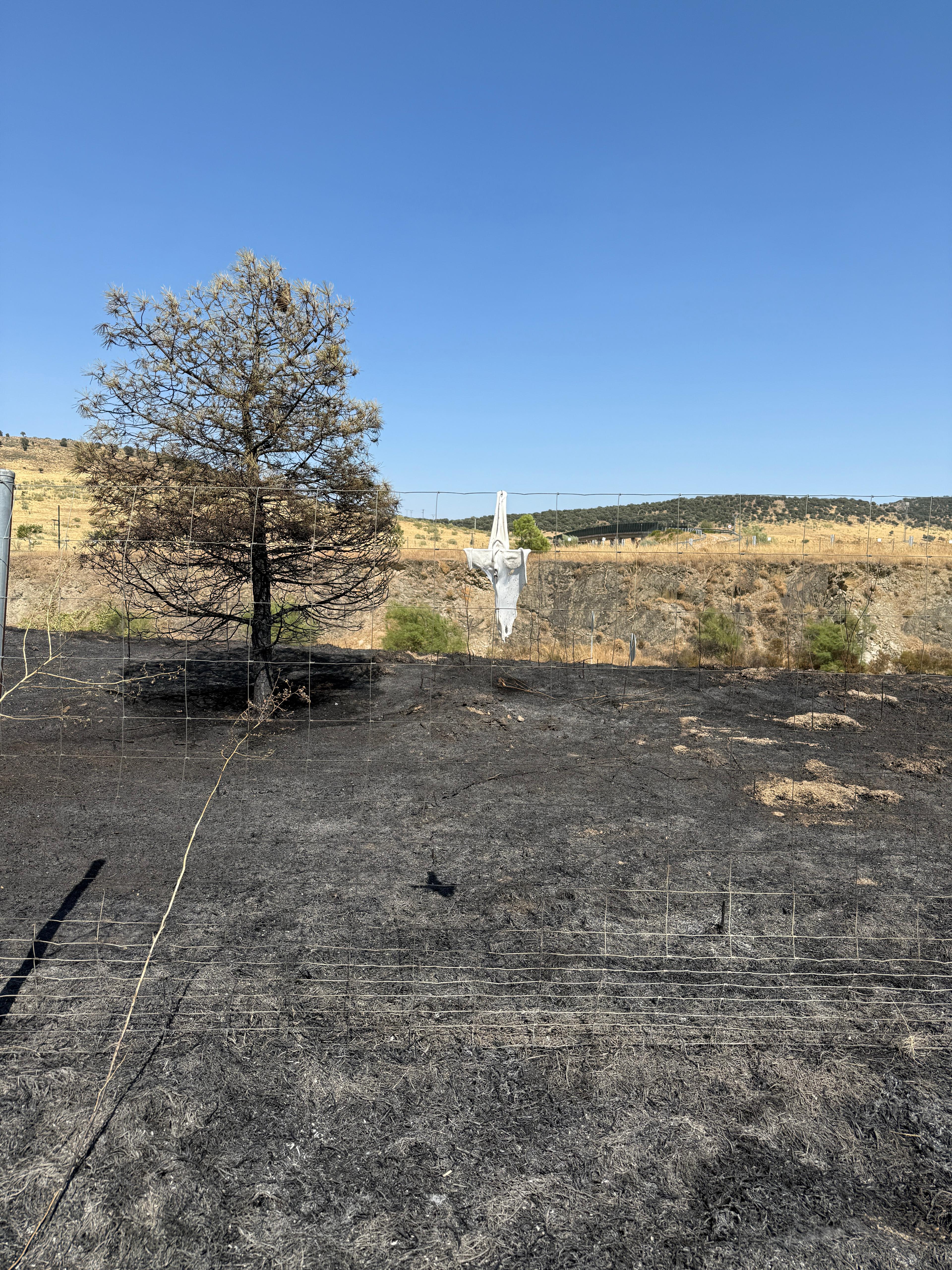 Incendio en Cáceres