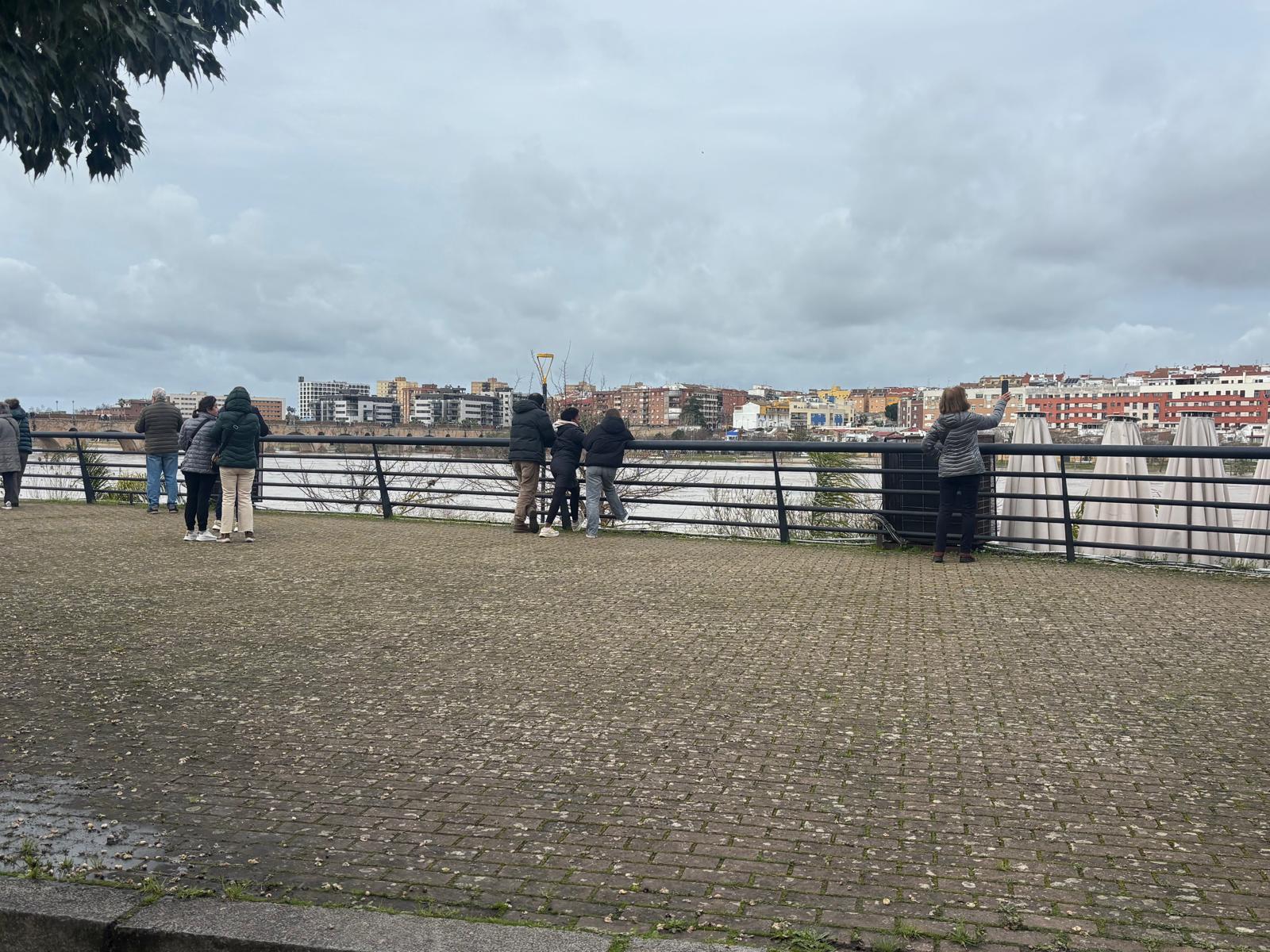 Imagen: Delia Martín Barbero