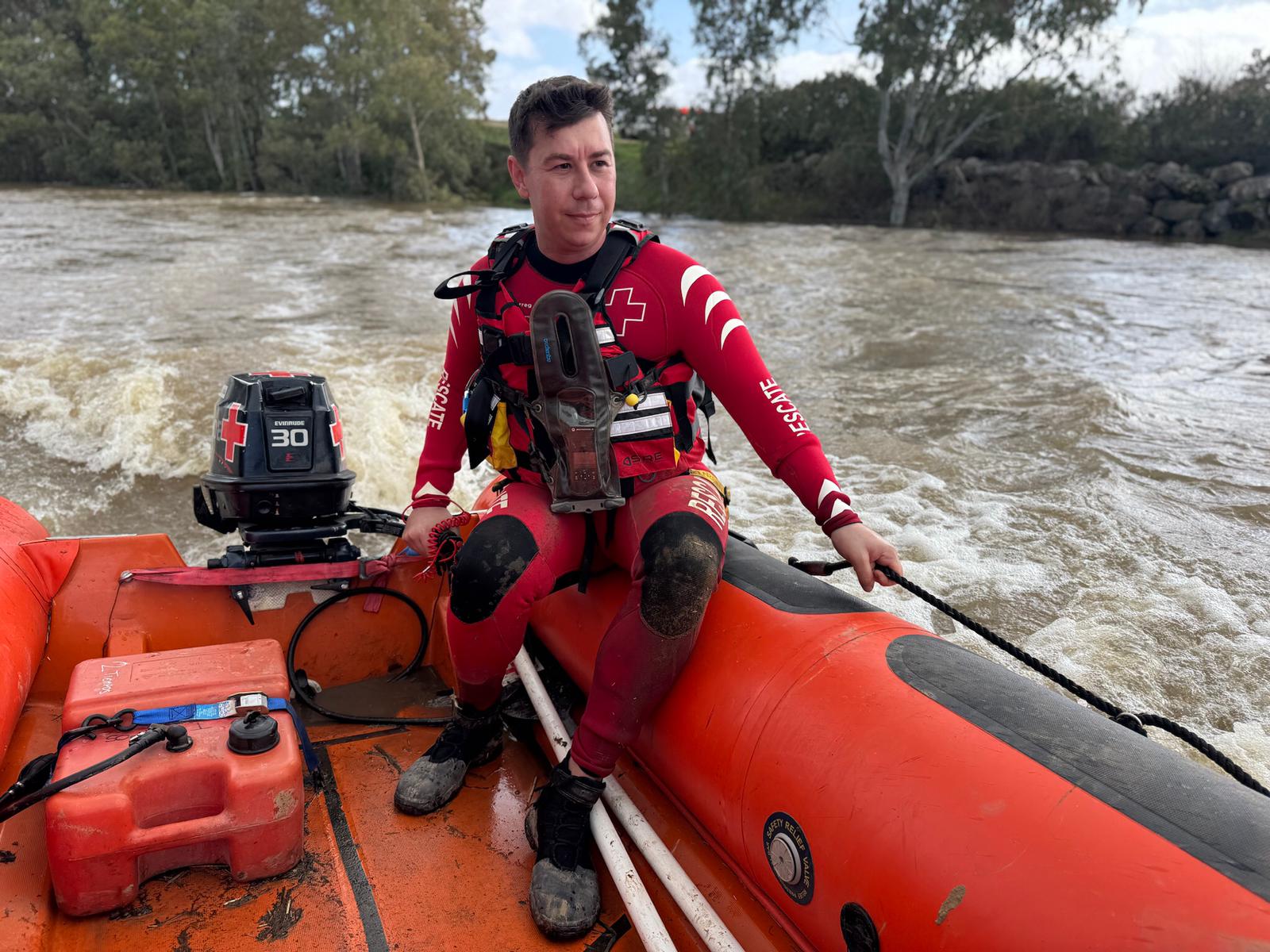 Alimentando a ovejas