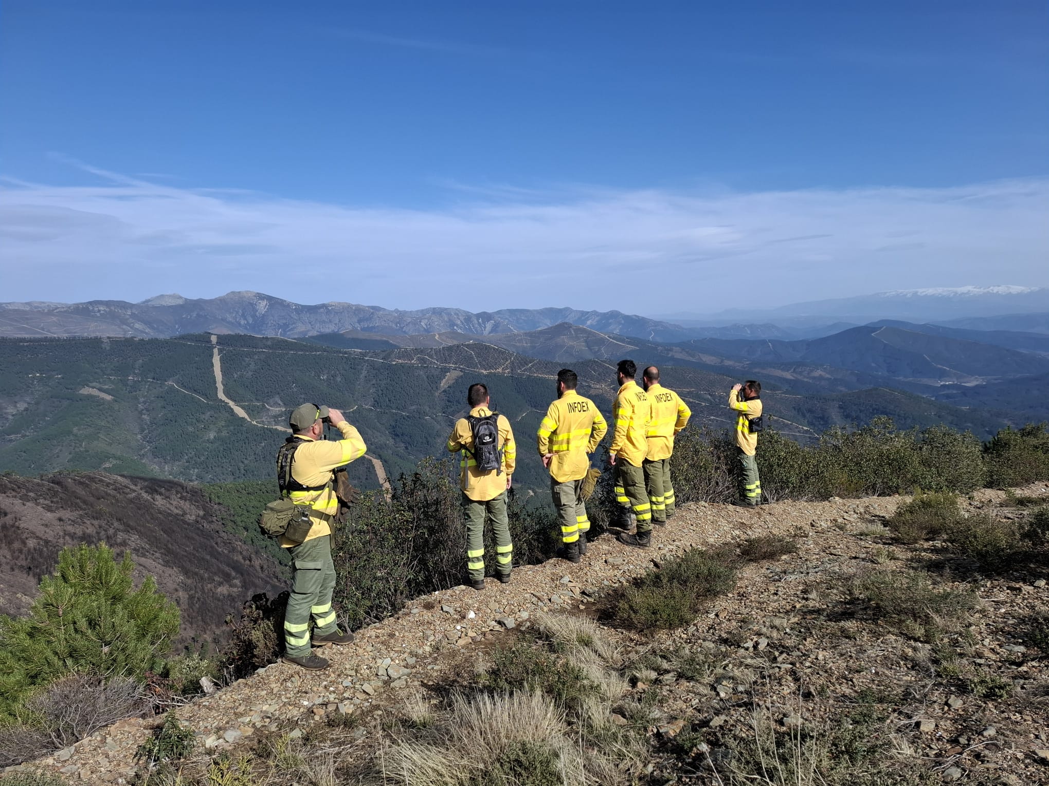 Efectivos del Plan Infoex