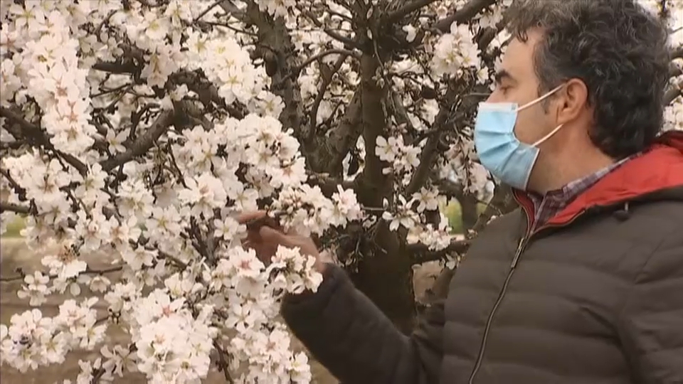 La primavera anticipada preocupa a los agricultores extremeños