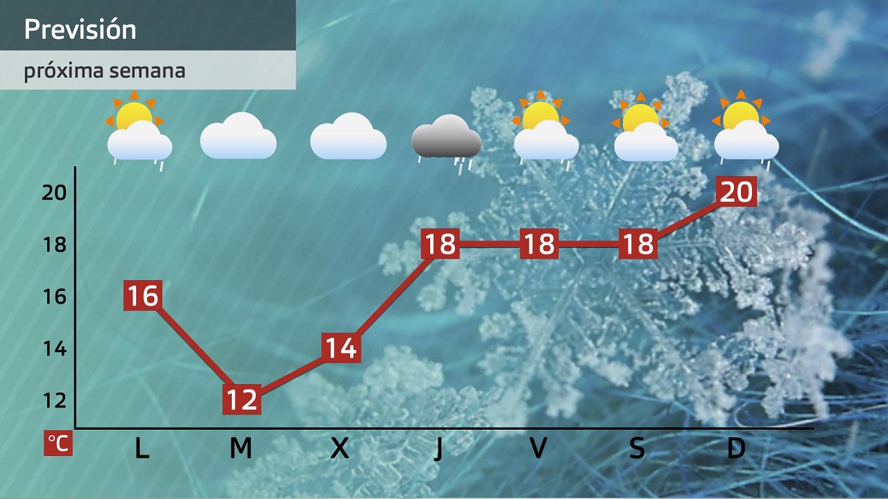 Avance semanal