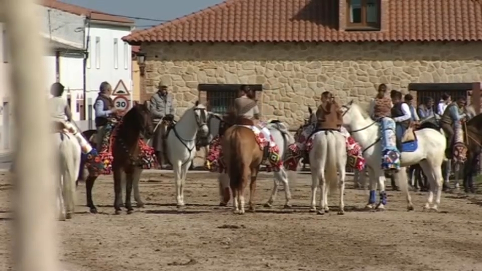 Caballos engalanados en Albalá