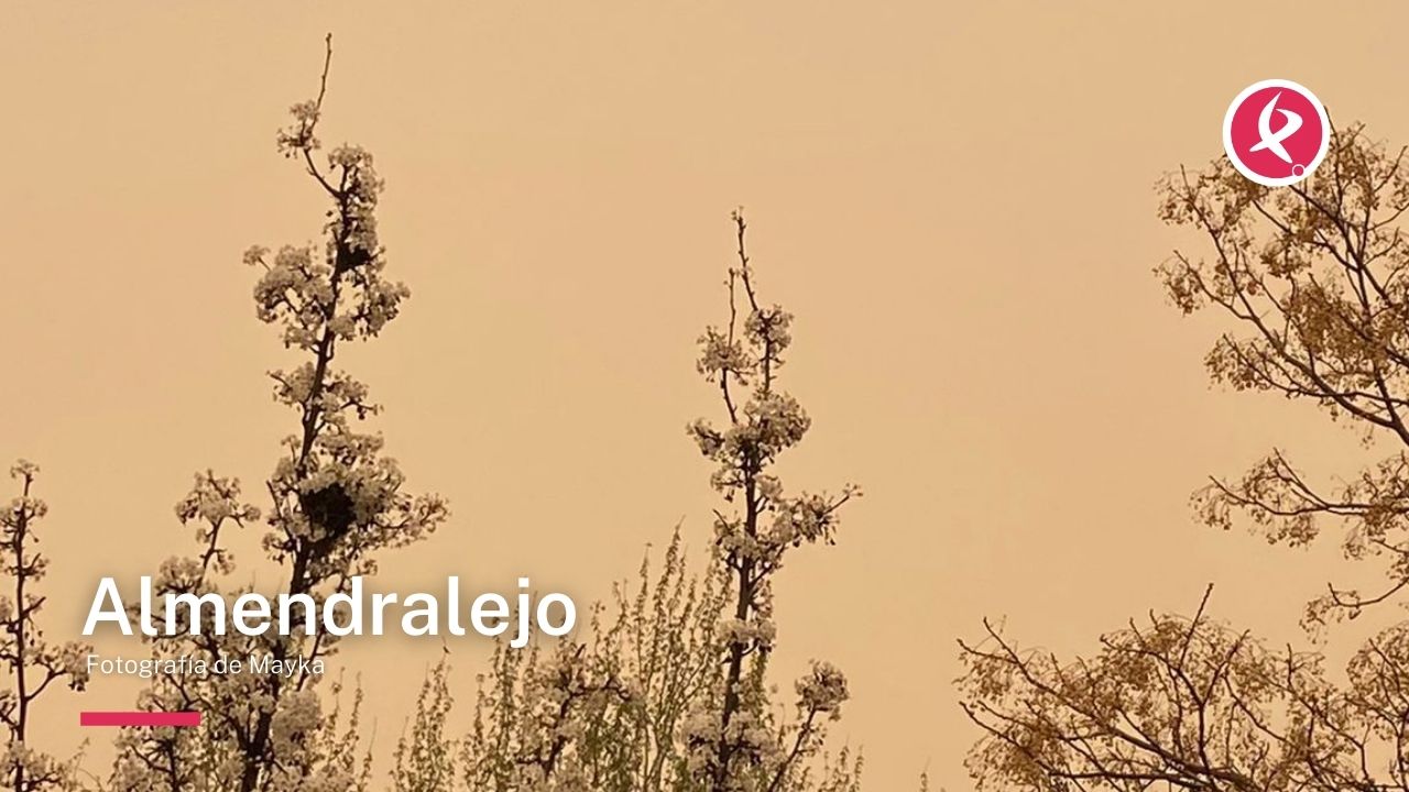 Imágenes de la calima en Extremadura