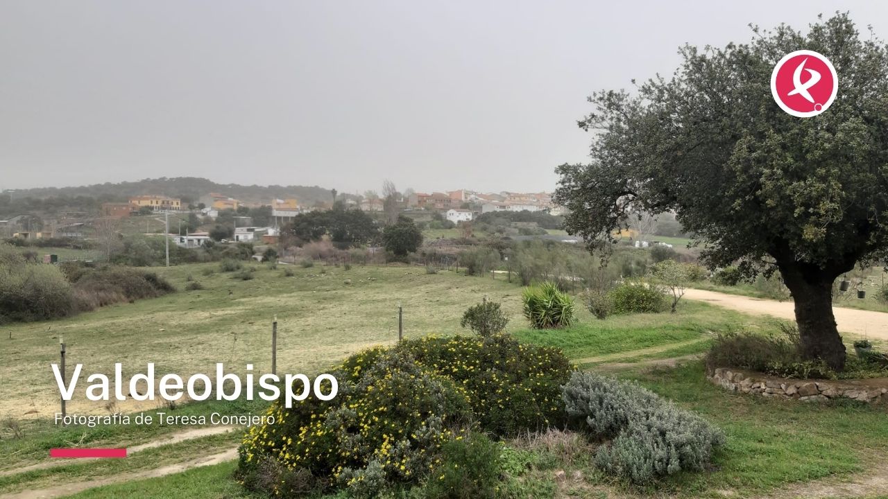 Imágenes de la calima en Extremadura