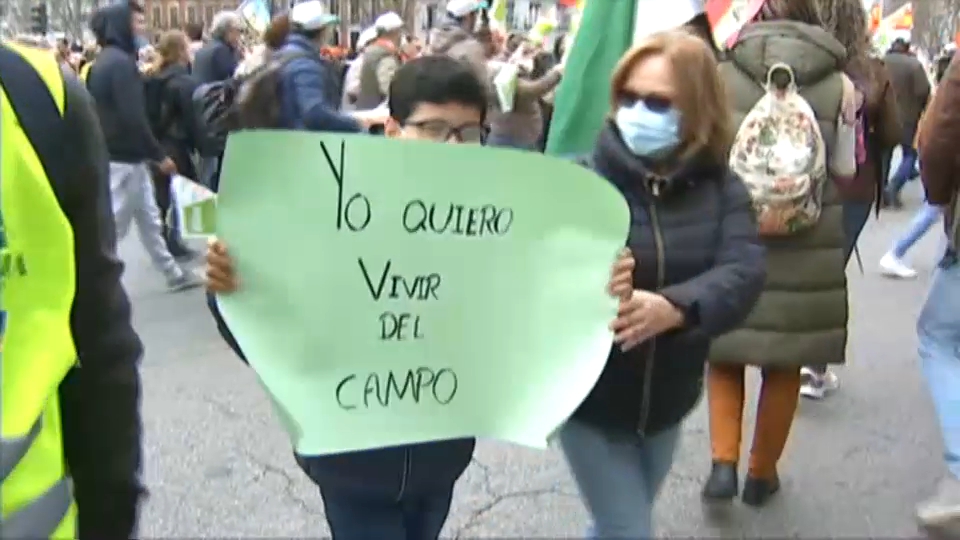 Manifestantes 20M