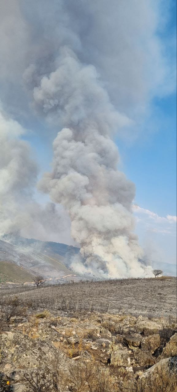 Otra panorámica sobre el incendio en Casas de Miravete.