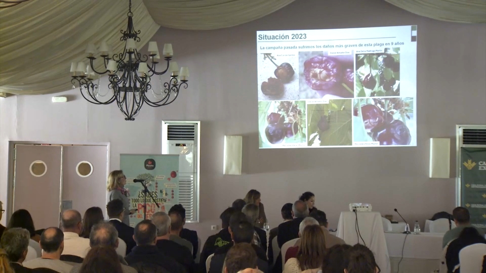 Jornadas sobre la Cereza