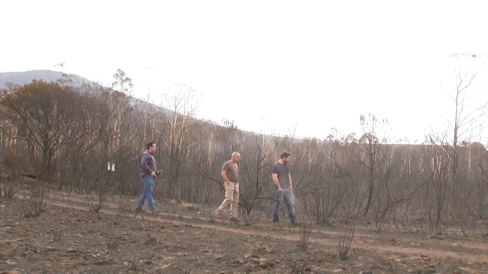 Zona quemada en el incendio