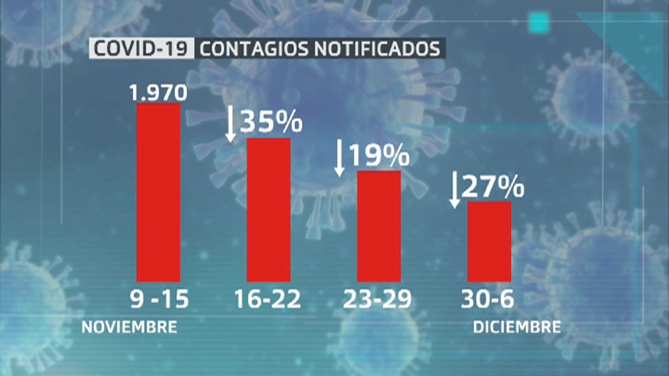 Contagios totales de noviembre