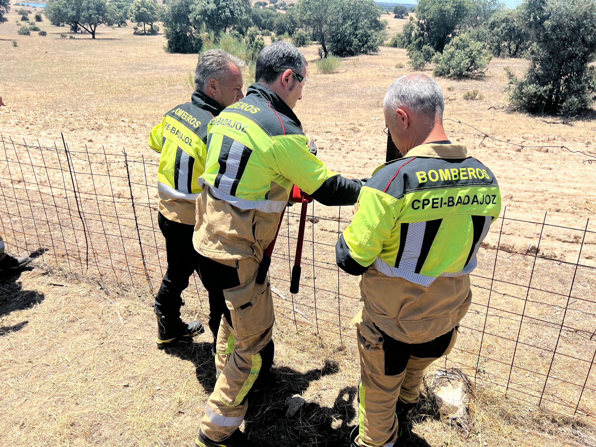 Cortan la alambrada para acceder al lugar del accidente