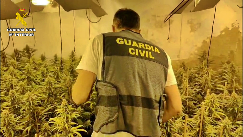 Los detenidos son vecinos de localidades pacenses de Castuera y Santa Amalia