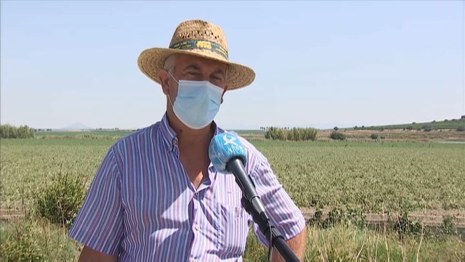 Agricultor de las Vegas Bajas del Guadiana.