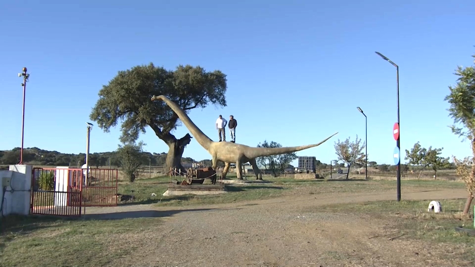 Diplodocus de 6 metros de altura
