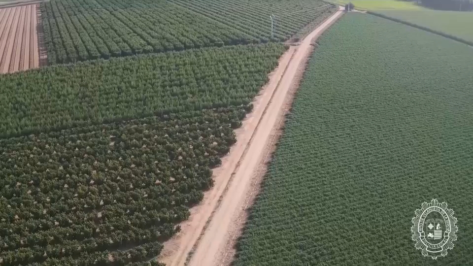 Drones contra los robos en el campo