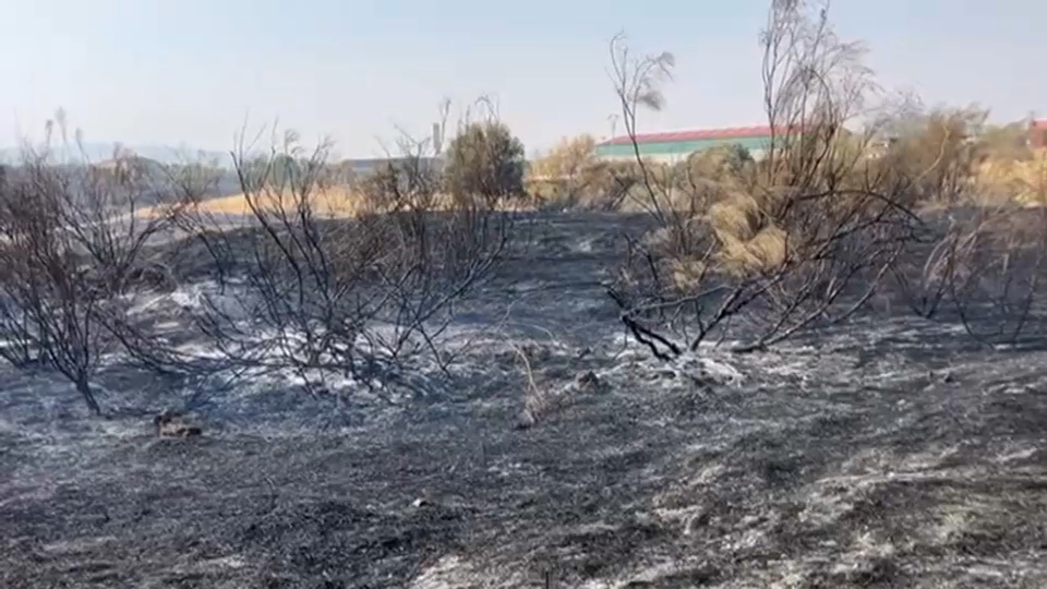 Incendios Escurial