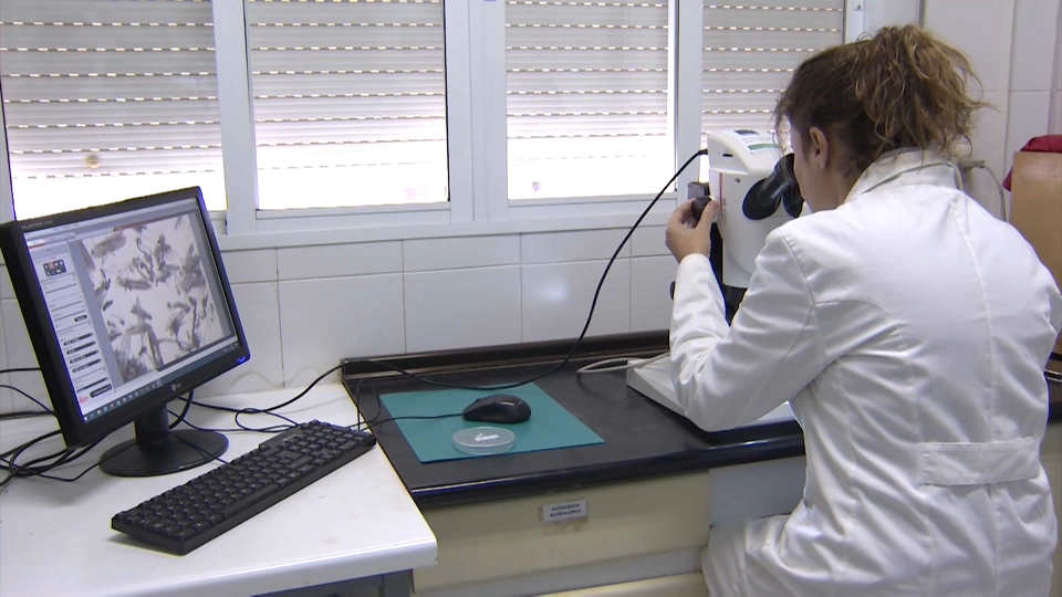 La profesora Eva Frontera en su laboratorio de la UEX