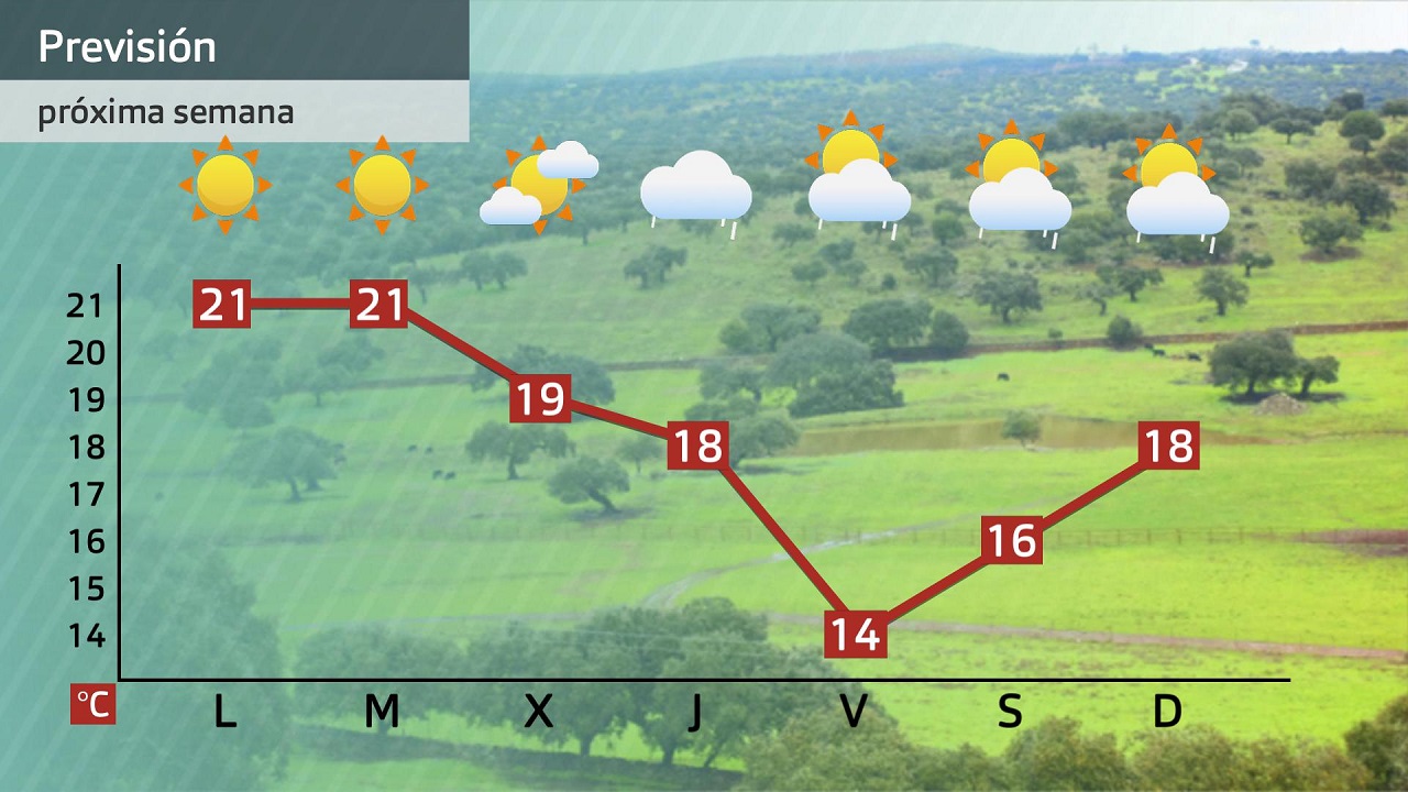 Previsión semanal