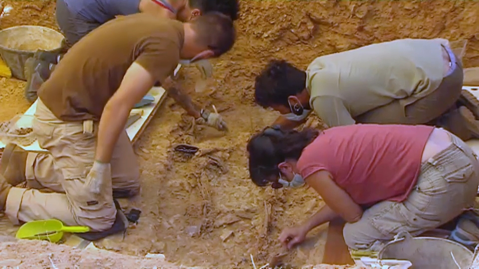 Trabajos de exhumación realizados en Extremadura 