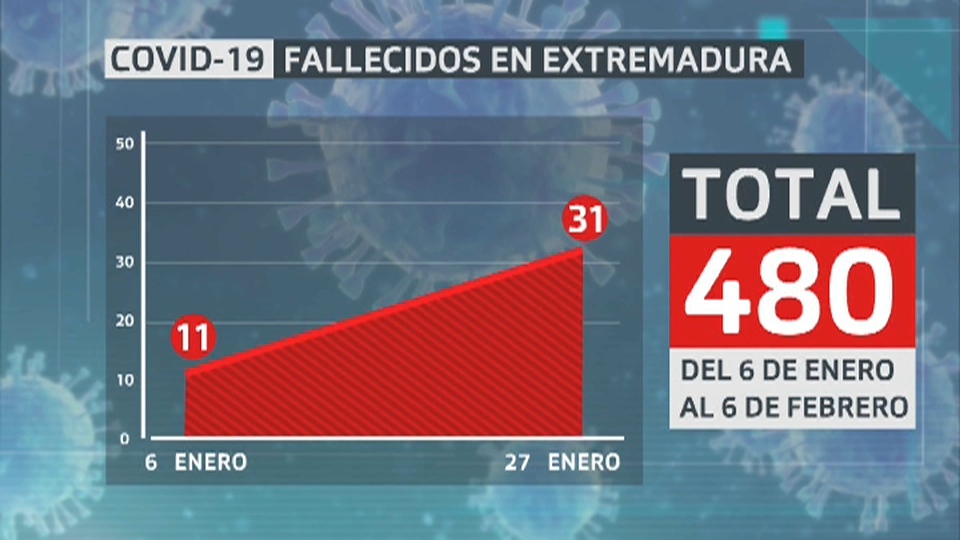 Solo del 6 de enero al 6 de febrero hubo 480 fallecidos