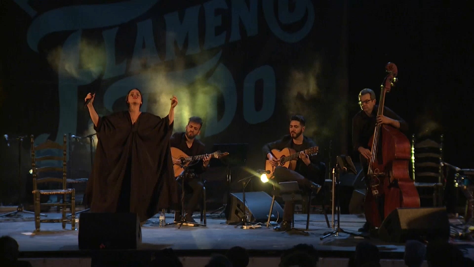 Festival de flamenco y fado